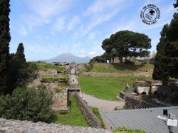 The first stop on the Umbra Optional Trip was Pompei.