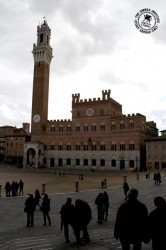 Siena's Piazza del Campo, site of Il Palio.