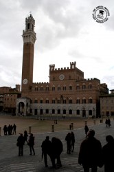 Siena's Piazza del Campo, site of Il Palio. 