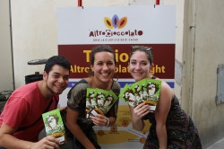 altro interns