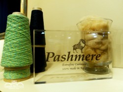 pashmere_small