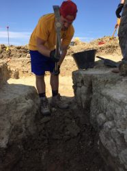 archaeo