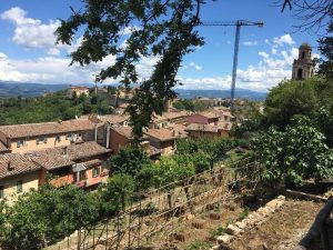 Orto Sole in Perugia Umbra Institute urban garden project