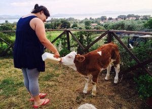 Agriturismo Orsini Volunteering Day #2  @ Azienda Agraria Orsini Flavio