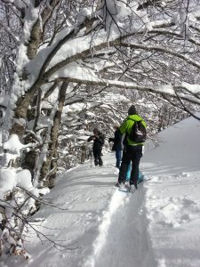 Snowshoeing Daytrip